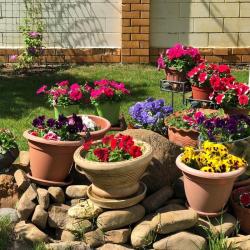 Фото Отель Тарасово хаус