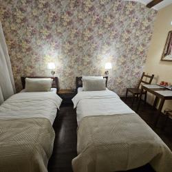 Фото Отель Шишкино-парк аэропорт Домодедово