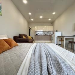 1-комнатные апартаменты студия Смолина 67/1-194  (студия)