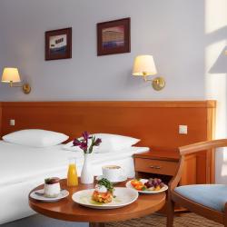 фото 64 Arthurs Spa Hotel by Mercure (Артурс СПА)