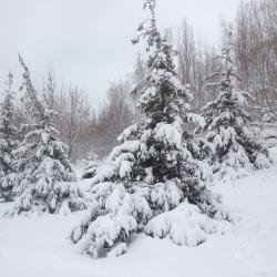 Фото Отель Сокол