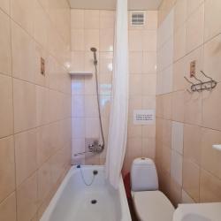 Фото Отель Золотой лев