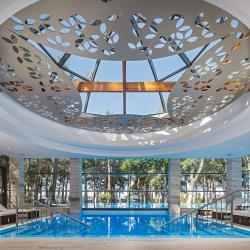фото 18 Приморье GRAND RESORT HOTEL (Приморье Гранд Резорт) 5*