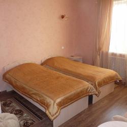 2-местный номер стандарт с 2 односпальными кроватями