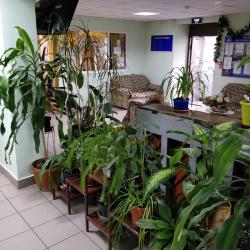 Кровать в 4-местном мужском номере