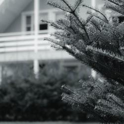 Фото Отель Иванова дача