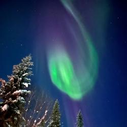 Фото Отель Лапландия