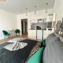 1-комнатные апартаменты студия Реутовская ул., д.21