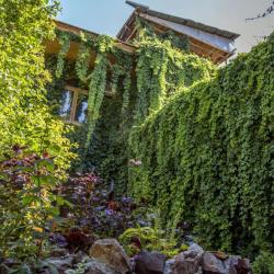 Фото Отель Caravan Serail (Караван Сераил)