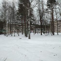 Фото Отель Гостевой дом в Малые Соли