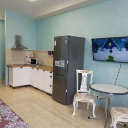 1-комнатные апартаменты студия 1.3