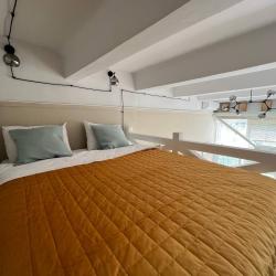 Двухуровневые апартаменты-студия Loft Sunny