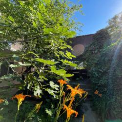 Фото Отель Nicole (Николь)