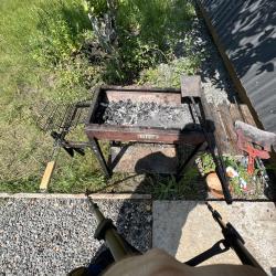 Дом у сосны