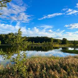 Фото Отель Черепашьи озёра