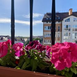 3-комнатные апартаменты стандарт (мансарда)