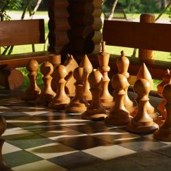 Фото Парк-Отель Басовское