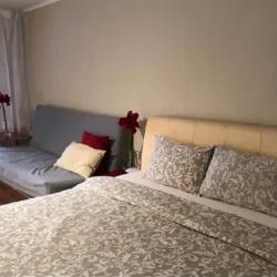 1-комнатные апартаменты стандарт с 1 двуспальной кроватью