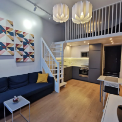 Фото Отель Inkeri Apartment (Инкери Апартмент) на улице Тургенева