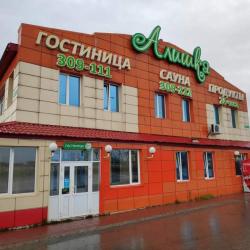 Фото Отель Алишка