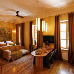 Номер студия премиум Жердёла