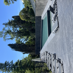 Фото Стильные апартаменты в 10-и минутах от моря