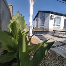 Фото Отель Коттедж Скандинавия Анапа