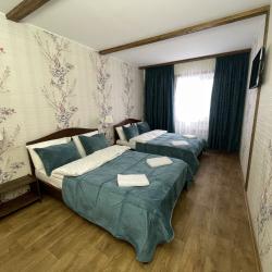 Фото Отель Шишкино-парк аэропорт Домодедово