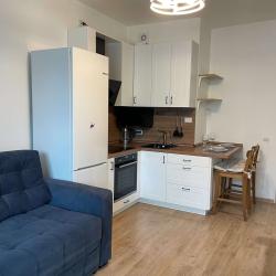 Апартаменты стандарт с 2 диванами