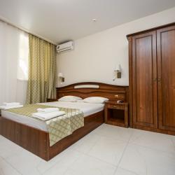 Номер стандарт с 1 двуспальной кроватью (цокольный этаж)