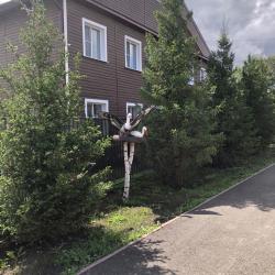 Фото Отель У Марфуши