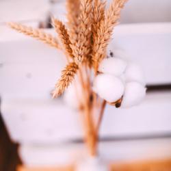 Фото Отель Ostrov camp (Остров Кемп)