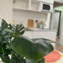 2-комнатные апартаменты стандарт