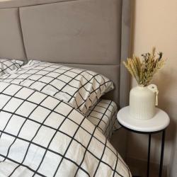 Фото Апартаменты на улице Большая Санкт-Петербургская, 27