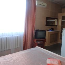 1-местный номер стандарт с 1 двуспальной кроватью