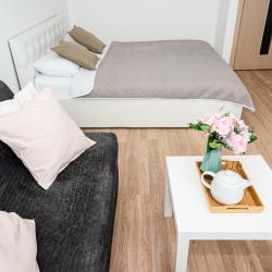 1-комнатные апартаменты стандарт №1