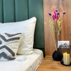 Апартаменты студия гостиничный комплекс Радуга 10И