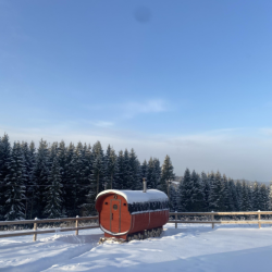 Фото Отель Скандик дом в Хохловке