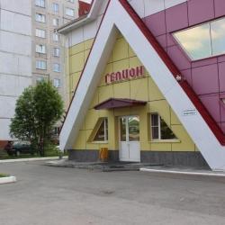 Фото Отель Гелион
