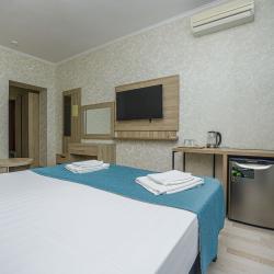 Номер делюкс с 1 двуспальной кроватью (вид на бассейн)