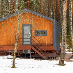 Дом с видом на лес гостиная со спальней 36м2