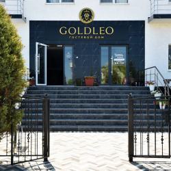 Фото Отель Goldleo (Голдлео)