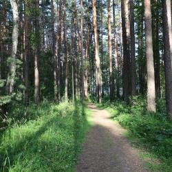 Фото Отель ДухЛес