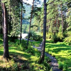 Фото Отель Горный Алтай