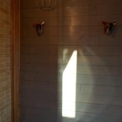 Фото Отель Здрава Дача