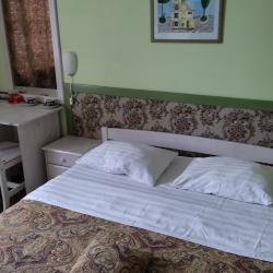 Комната стандарт с 1 двуспальной кроватью (с завтраком)