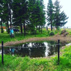 Фото Отель Русь