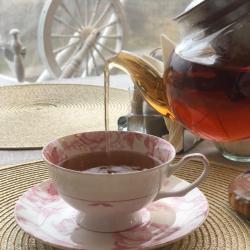 Фото Отель Ива Спа