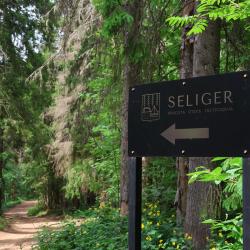 Фото Дизайн-отель Seliger Club (Селигер Клуб)