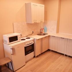 Фото Апартаменты Снимай Смело на улице Бабушкина 20